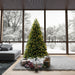 6'6"Hx52"W PE Tiffany Fraser Artificial Christmas Tree, LED Pre-Lit -Green - DT213566LED