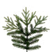 6'6"Hx52"W PE Tiffany Fraser Artificial Christmas Tree, Unlit -Green - DT213565