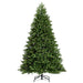 6'6"Hx52"W PE Tiffany Fraser Artificial Christmas Tree, LED Pre-Lit -Green - DT213566LED