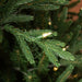 7'6"Hx60"W PE Tiffany Fraser Artificial Christmas Tree, LED Pre-Lit -Green - DT213576LED
