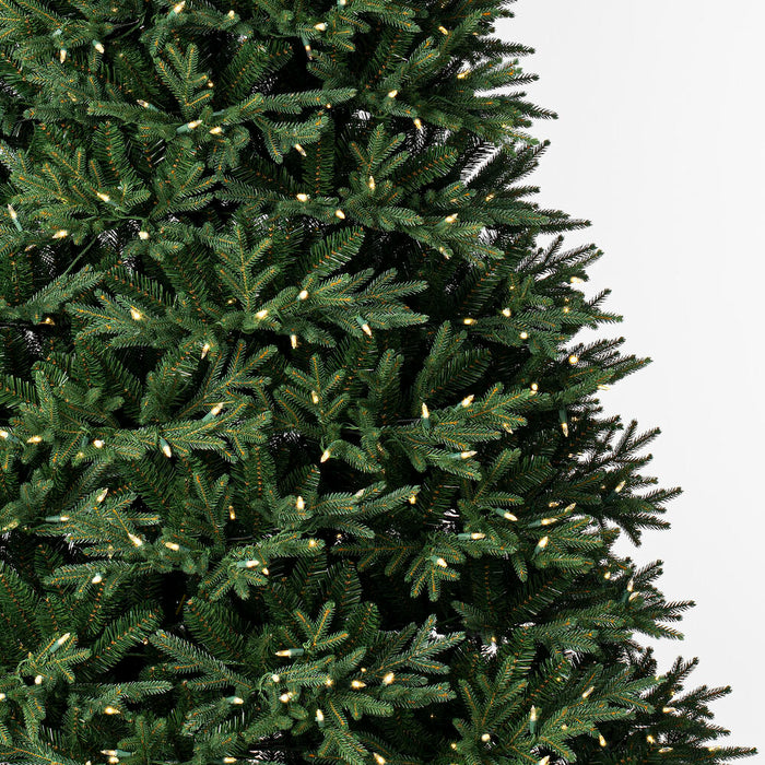 7'6"Hx60"W PE Tiffany Fraser Artificial Christmas Tree, RGB LED Pre-Lit (Multi-Mode) -Green - DT213578LEDCC