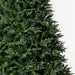 7'6"Hx60"W PE Tiffany Fraser Artificial Christmas Tree, RGB LED Pre-Lit (Multi-Mode) -Green - DT213578LEDCC