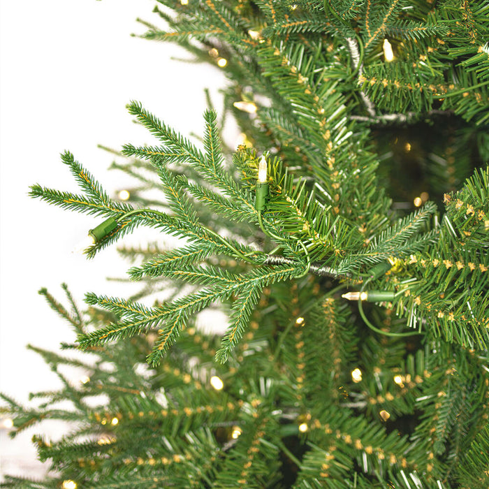 6'6"Hx52"W PE Tiffany Fraser Artificial Christmas Tree, LED Pre-Lit -Green - DT213566LED