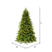 6'6"Hx48"W PE Jersey Fraser Artificial Christmas Tree, LED Pre-Lit -Green - DT214266LED