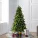 6'6"Hx48"W PE Jersey Fraser Artificial Christmas Tree, RGB LED Pre-Lit (Multi-Mode) -Green - DT214268LEDCC