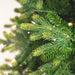 6'6"Hx48"W PE Jersey Fraser Artificial Christmas Tree, RGB LED Pre-Lit (Multi-Mode) -Green - DT214268LEDCC
