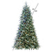 9'Hx72"W PE Frosted Albany Spruce Artificial Christmas Tree, LED Pre-Lit (Multi-Mode) -Green/White - DT220283LEDCC