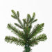 7'6"Hx39"W PE Slim Wistler Spruce Artificial Christmas Tree, Unlit -Green - DT235575
