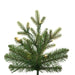 7'6"Hx39"W PE Slim Wistler Spruce Artificial Christmas Tree, LED Pre-Lit (Multi-Mode) -Green - DT235678LEDCC