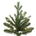 7'6"Hx62"W PE Nordmann Fir Artificial Christmas Tree, LED Pre-Lit (Multi-Mode) -Green - DT256278LEDCC