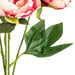 20" Silk Peony Flower Bush -Pink (Pack of 6) - FA174703