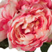 20" Silk Peony Flower Bush -Pink (Pack of 6) - FA174703