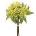 15.5" Allium Artificial Flower Stem Bundle -Yellow/Green (pack of 12) - FBA155-YE/GR