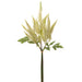 20.5" Astilbe Silk Flower Stem Bundle -Cream/Green (pack of 12) - FBA445-CR/GR