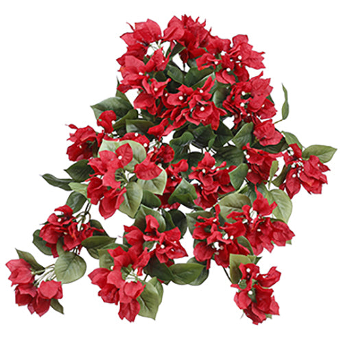 hanging bougainvillea plant 24" Bougainvillea Silk Hanging Flower Bush -Red