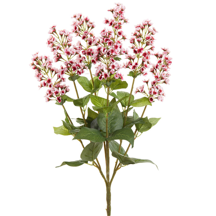 23" Silk Bouvardia Flower Bush -Pink/Beauty (pack of 12) - FBB320-PK/BT