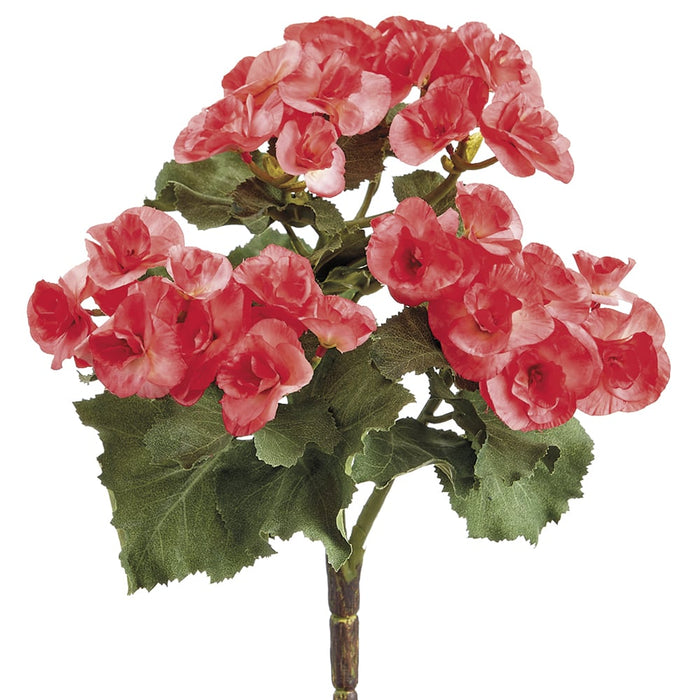 10" Silk Begonia Flower Bush -Watermelon (pack of 12) - FBB841-WM