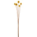 28" Artificial Billy Button Craspedia Flower Stem Bundle -Yellow (pack of 6) - FBB964-YE
