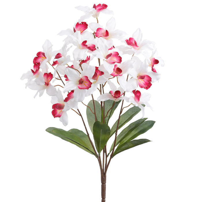 21" Cymbidium Orchid Silk Flower Bush -Cream (Pack of 12) - FBC416-CR