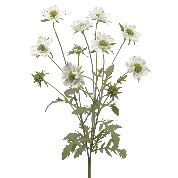 25" Silk Scabiosa Flower Bush -White (pack of 6) - FBC511-WH
