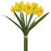 15.5" Daffodil Narcissus Silk Flower Stem Bundle -Yellow (Pack of 12) - FBD068-YE