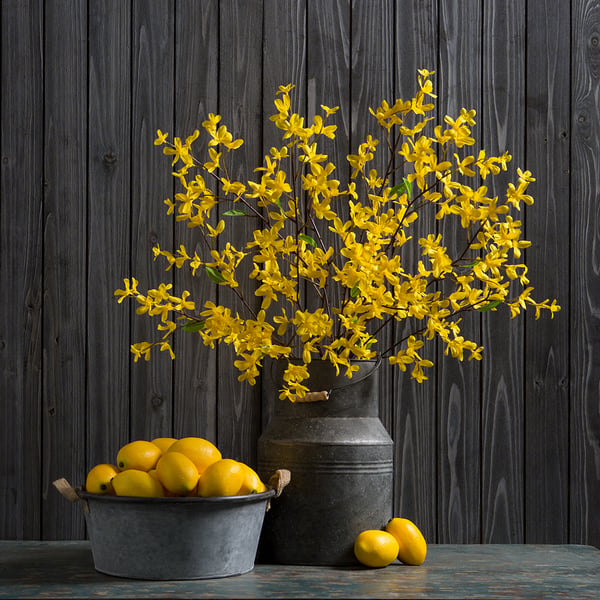 28.5" Silk Forsythia Flower Bush -Yellow (pack of 12) - FBF514-YE