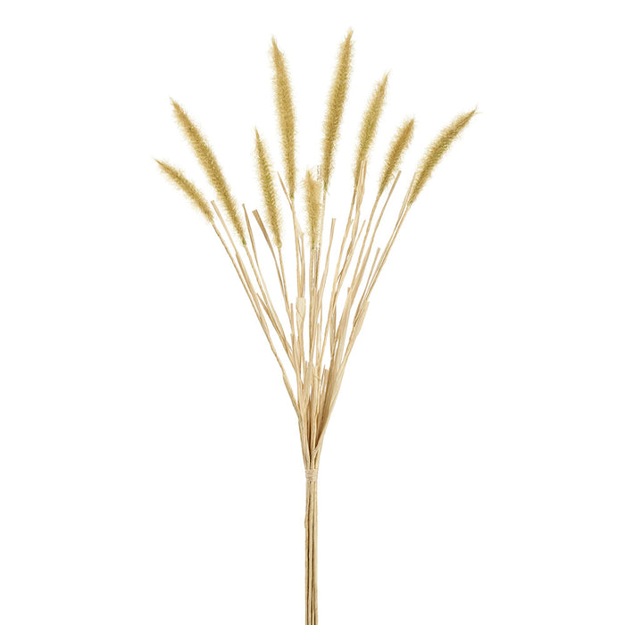 22" Artificial Foxtail Grass Flower Stem Bundle -Beige (pack of 12) - FBF687-BE