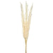 40" Artificial Pampas Grass Stem Bundle -Beige (pack of 6) - FBG264-BE