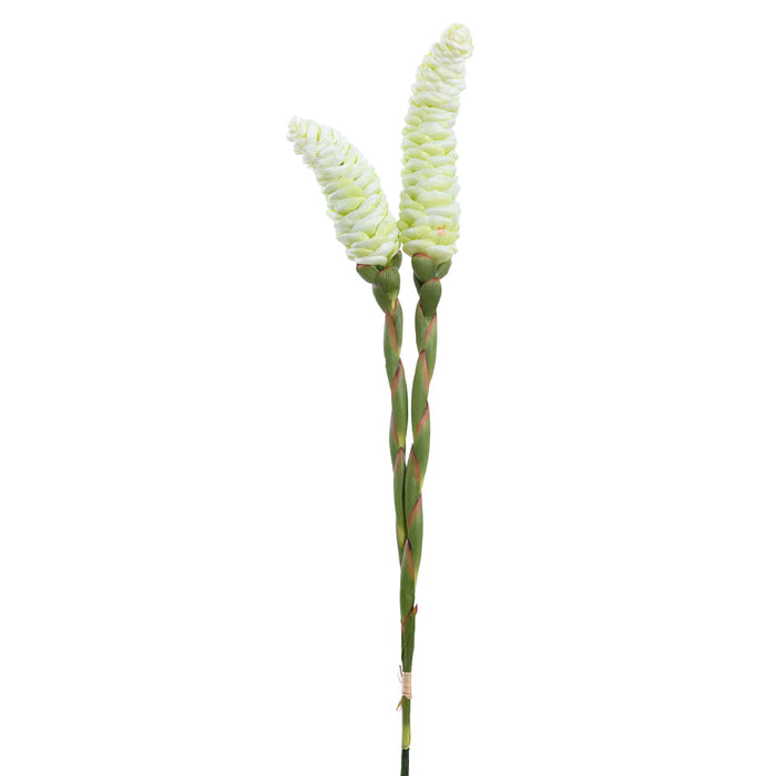 36" Ginger Silk Flower Stem Bundle -Cream/Green (Pack of 12) - FBG394-CR/GR