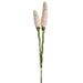 36" Ginger Silk Flower Stem Bundle -Pink (Pack of 12) - FBG394-PK