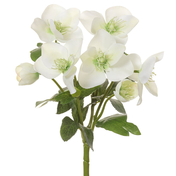 10" Silk Helleborus Flower Bush -Cream/Green (Pack of 12) - FBH007-CR/GR