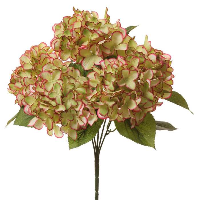 18" Silk Hydrangea Flower Bush -Cream/Magenta (pack of 12) - FBH061-CR/MG