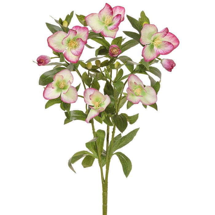 21" Silk Helleborus Flower Bush -Green/Boysenberry (pack of 6) - FBH189-GR/BB