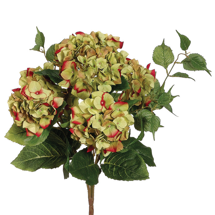 22" Silk Hydrangea Flower Bush -Green/Beauty (pack of 6) - FBH345-GR/BT