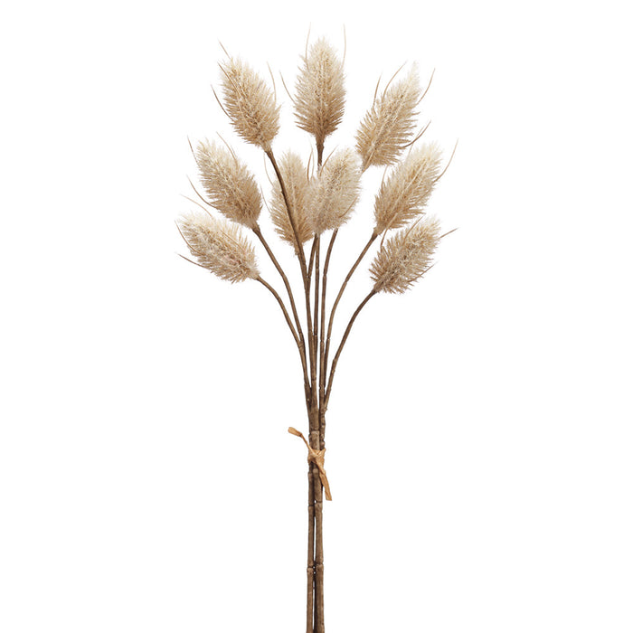 14" Artificial Hare's Tail Flower Stem Bundle -Beige (pack of 12) - FBH854-BE