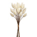 14" Artificial Hare's Tail Flower Stem Bundle -Cream (pack of 6) - FBH855-CR