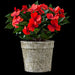 13.5" Silk New Guinea Impatiens Flower Bush -Tomato Red (Pack of 6) - FBI633-RE/TO
