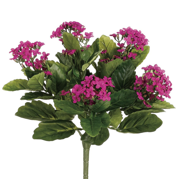 13.5" Silk Kalanchoe Flower Bush -Fuchsia (pack of 6) - FBK107-FU