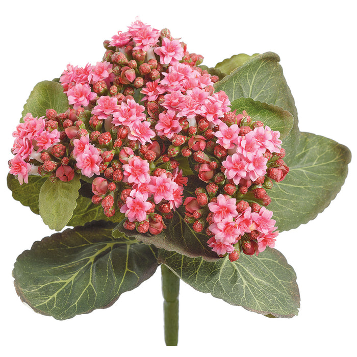 8" Kalanchoe Silk Flower Bush -Pink (Pack of 24) - FBK361-PK