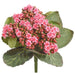 8" Kalanchoe Silk Flower Bush -Pink (Pack of 24) - FBK361-PK