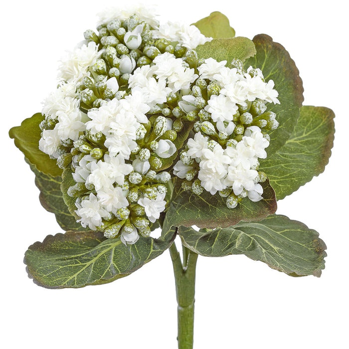8" Kalanchoe Silk Flower Bush -White (pack of 24) - FBK361-WH
