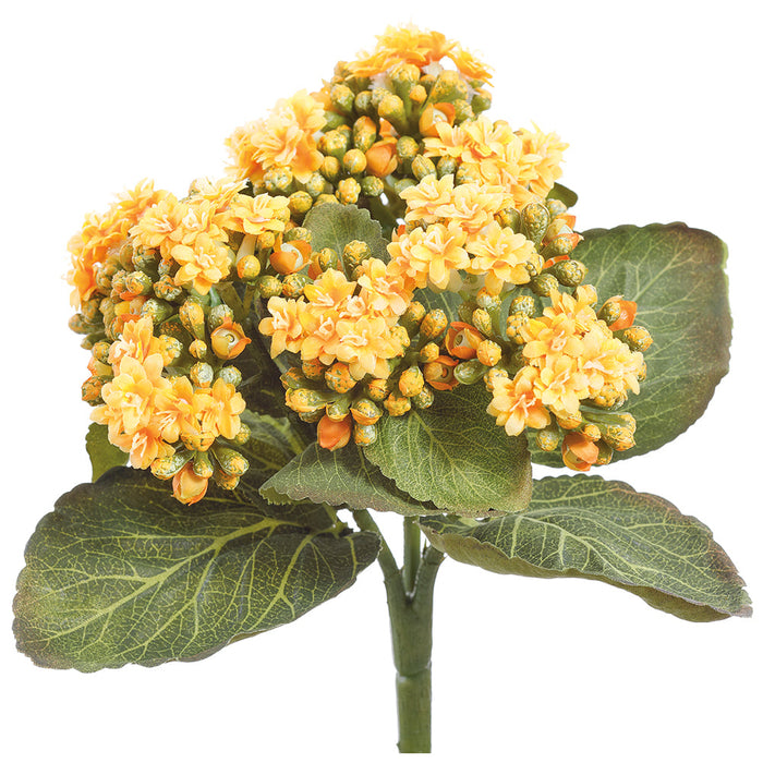 8" Kalanchoe Silk Flower Bush -Yellow (Pack of 24) - FBK361-YE