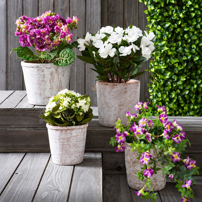 9" Silk Mini Kalanchoe Flower Bush -White (Pack of 12) - FBK383-WH