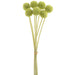 13" Billy Button Silk Flower Stem Bundle -Green/Cream (pack of 12) - FBL428-GR/CR