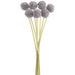 13" Billy Button Silk Flower Stem Bundle -Lavender (pack of 12) - FBL428-LV