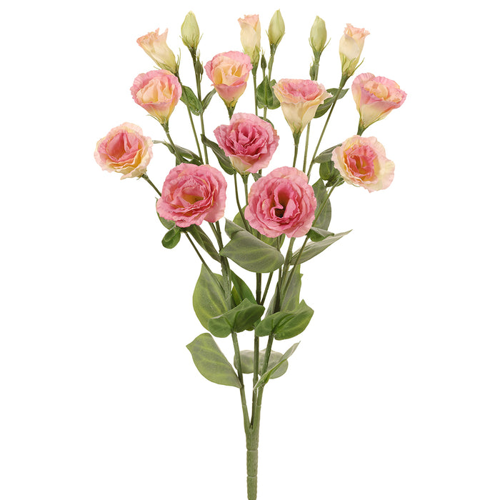 23" Silk Lisianthus Flower Bush -2 Tone Pink (pack of 6) - FBL505-PK/TT