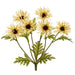 19" Silk Spider Mum Flower Bush -Beige (pack of 12) - FBM098-BE