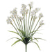 21" Silk Daffodil Flower Bush -Cream/White (pack of 12) - FBN108-CR/WH