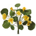 12" Nasturtium Silk Flower Stem Bundle -Yellow (pack of 6) - FBN270-YE