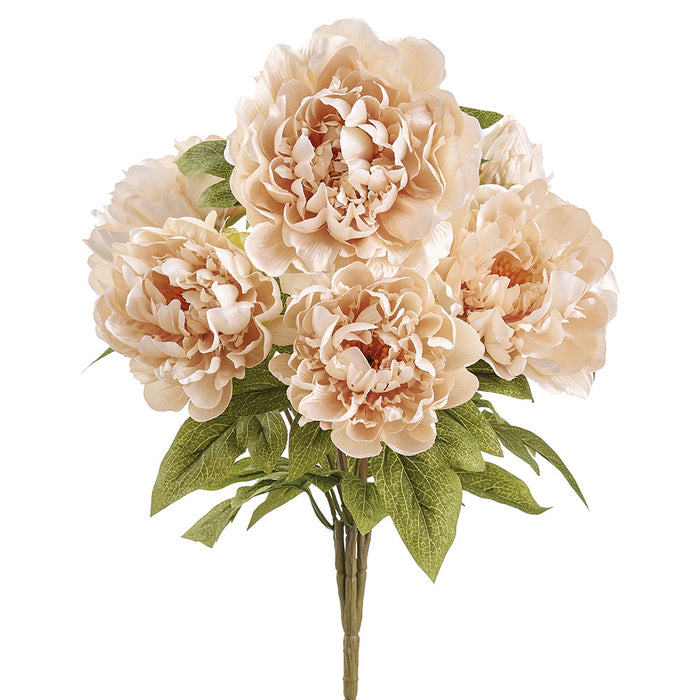 21" Peony Silk Flower Bush -Beige (Pack of 6) - FBP004-BE